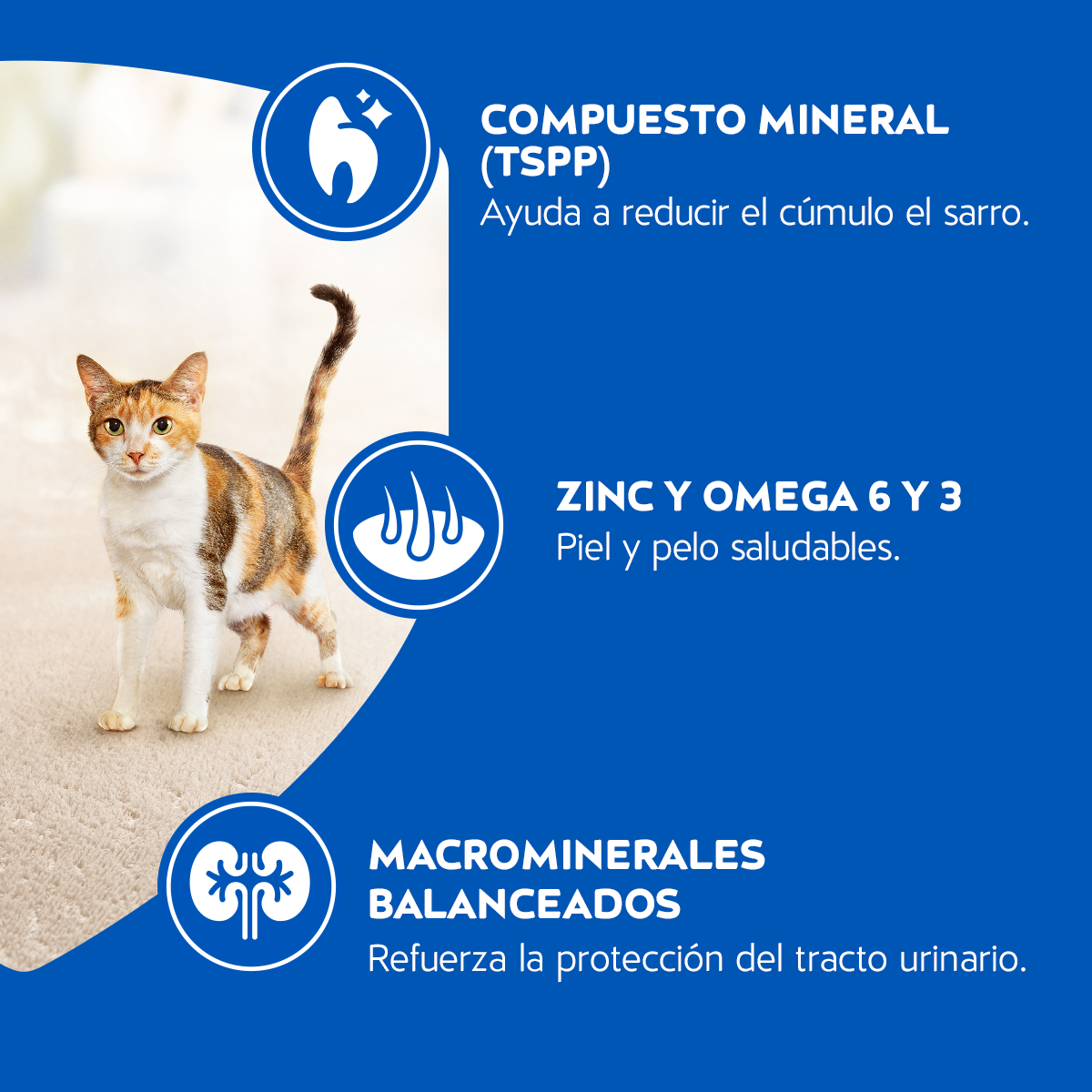 Alimento para Gatos adultos Cat Chow Delimix en bolsa 3kg