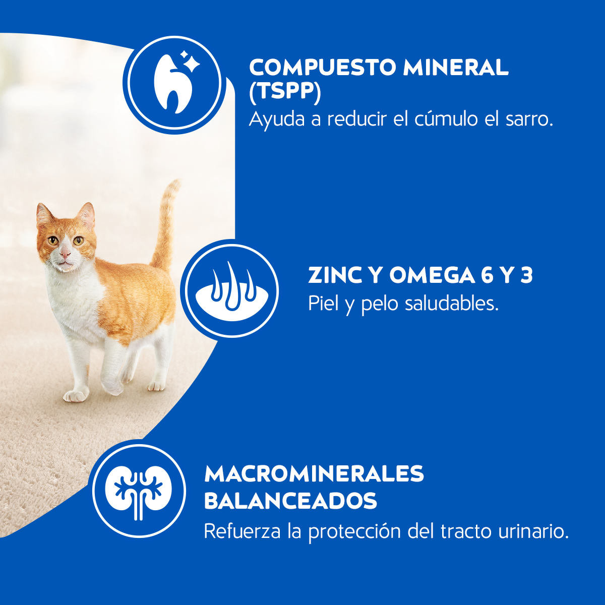 Alimento para Gatos Cat Chow Adulto sabor Pescado  en bolsa de 8kg