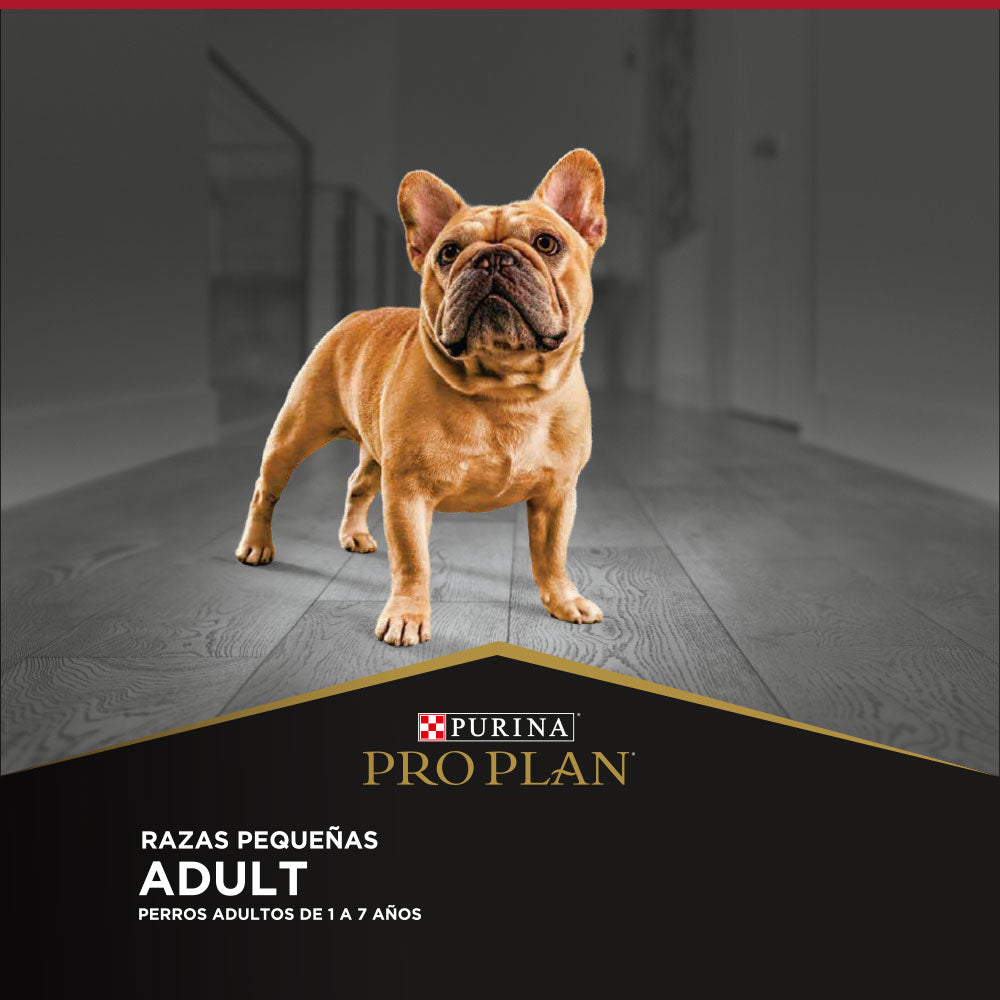 Alimento para perros Adultos mini y pequeños Pro Plan® 3kg