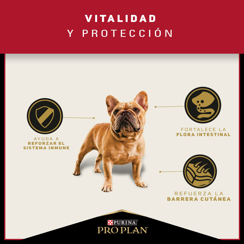Alimento para perros Adultos mini y pequeños Pro Plan® 3kg