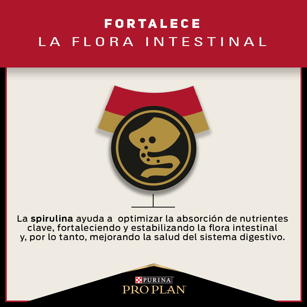 Alimento para perros Adultos mini y pequeños Pro Plan® 3kg