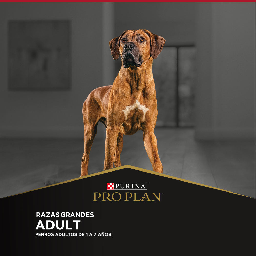 Alimento para perros adultos grandes Pro Plan® 15kg