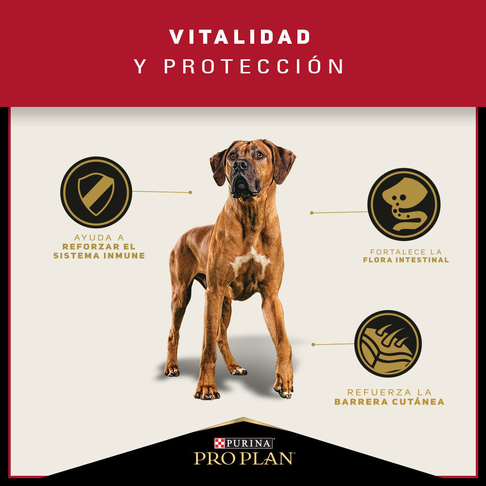 Alimento para perros adultos grandes Pro Plan® 15kg