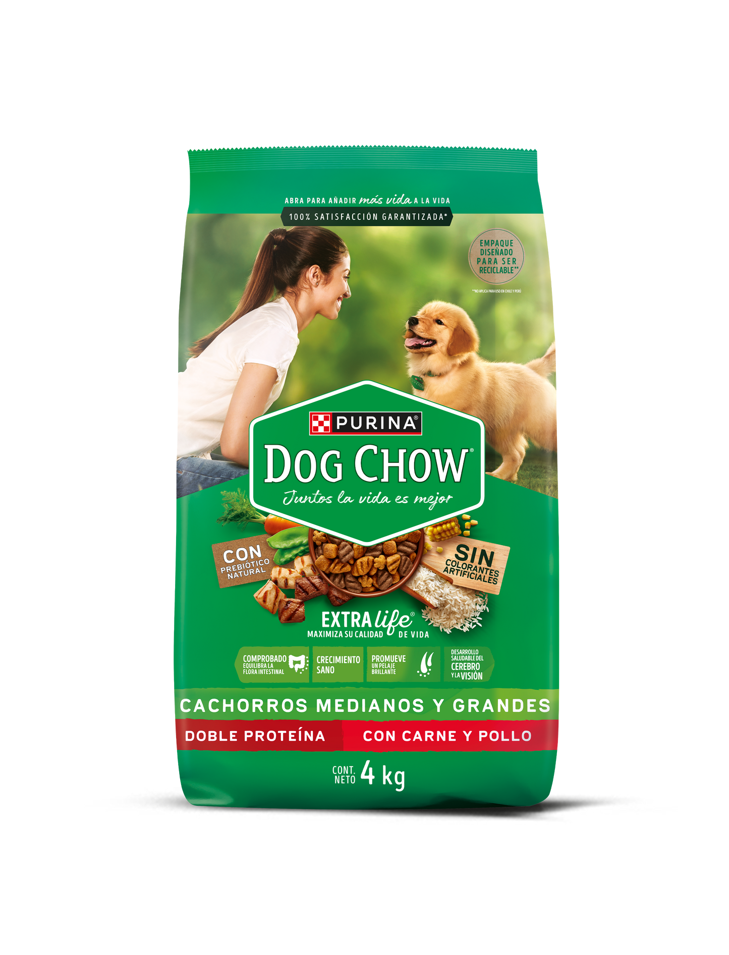 Alimento para perro Dog Chow Cachorros Medianos y Grandes 4kg