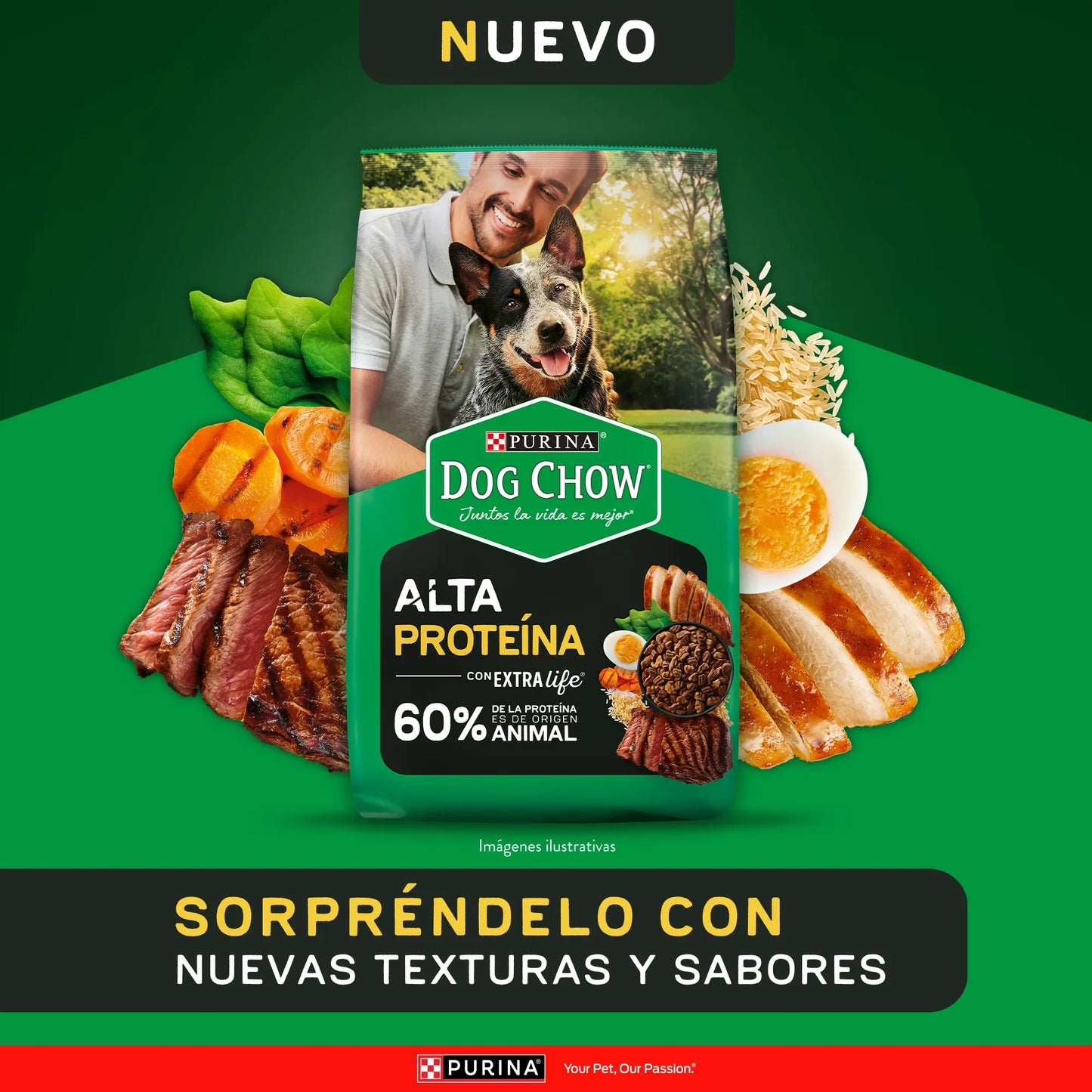 Alimento para perro Dog Chow Adulto Alta Proteína 7.5kg