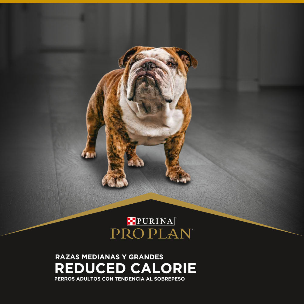Alimento para perros medianos y grandes Pro Plan® Reduce calories 12kg