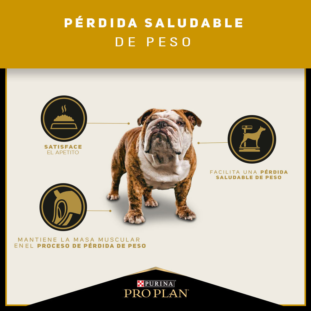 Alimento para perros medianos y grandes Pro Plan® Reduce calories 12kg