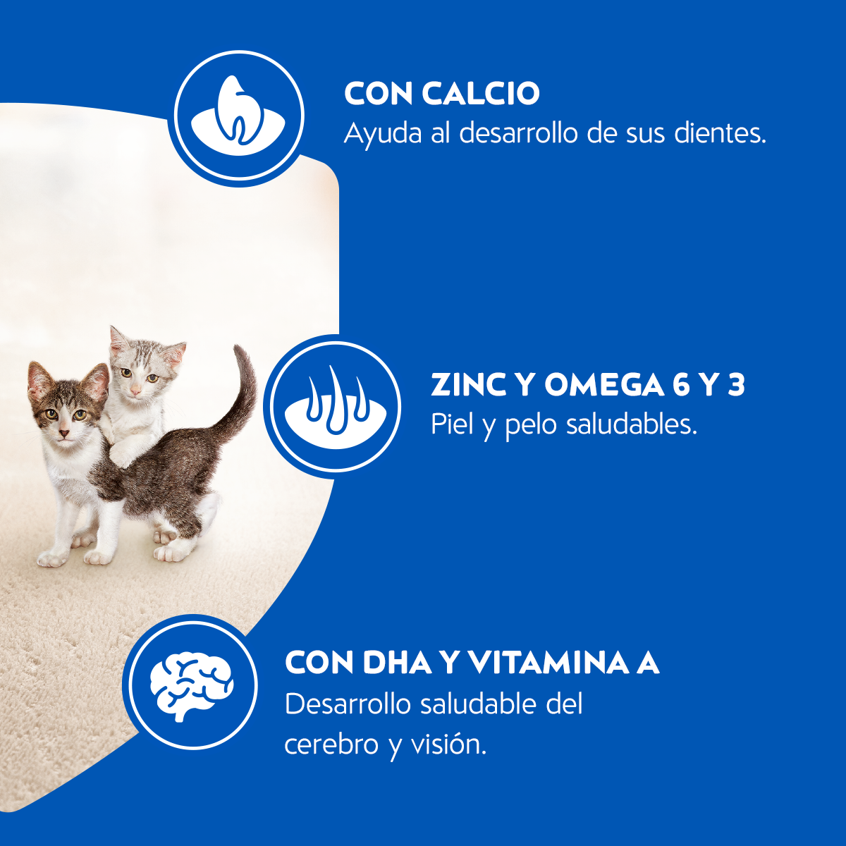 Alimento para Gatos Cat Chow Gatitos en bolsa 15kg