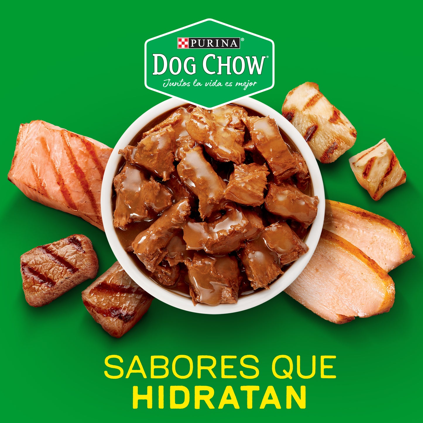 Alimento húmedo para perros Dog Chow Adultos Minis y Pequeños con Pollo 100gr