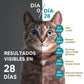 Alimento húmedo para gatos Purina One Adulto y esterilizado supernutrientes de 85gr