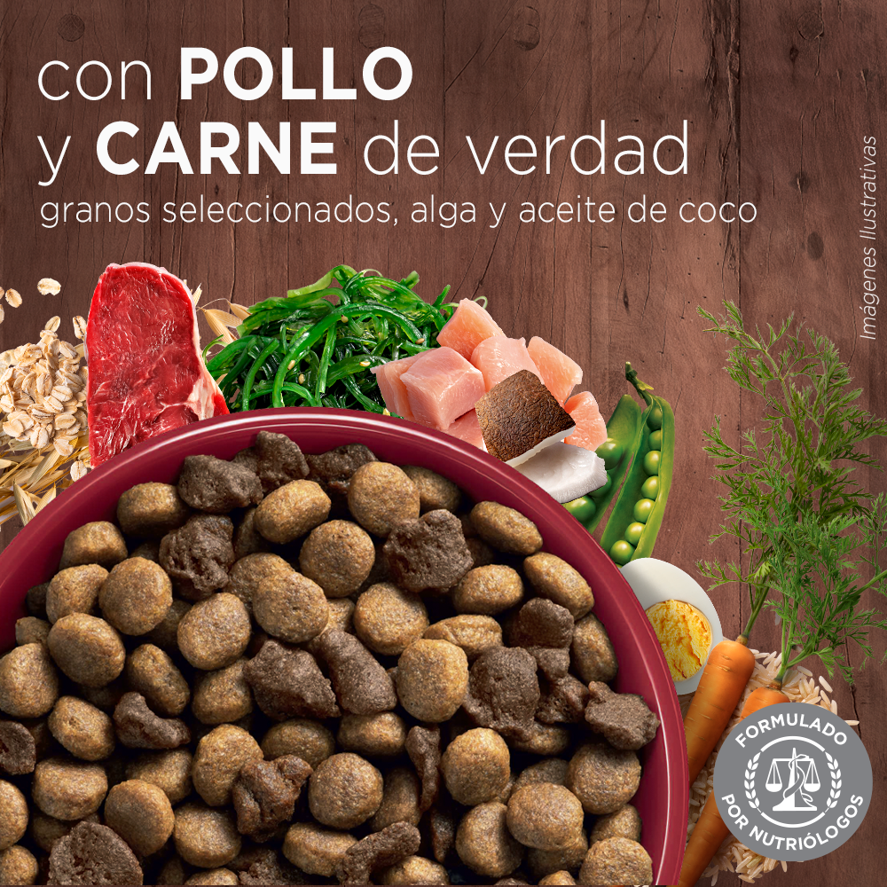 Alimento para perro Purina One Adultos medianos y grandes sabor carne de 6 kg