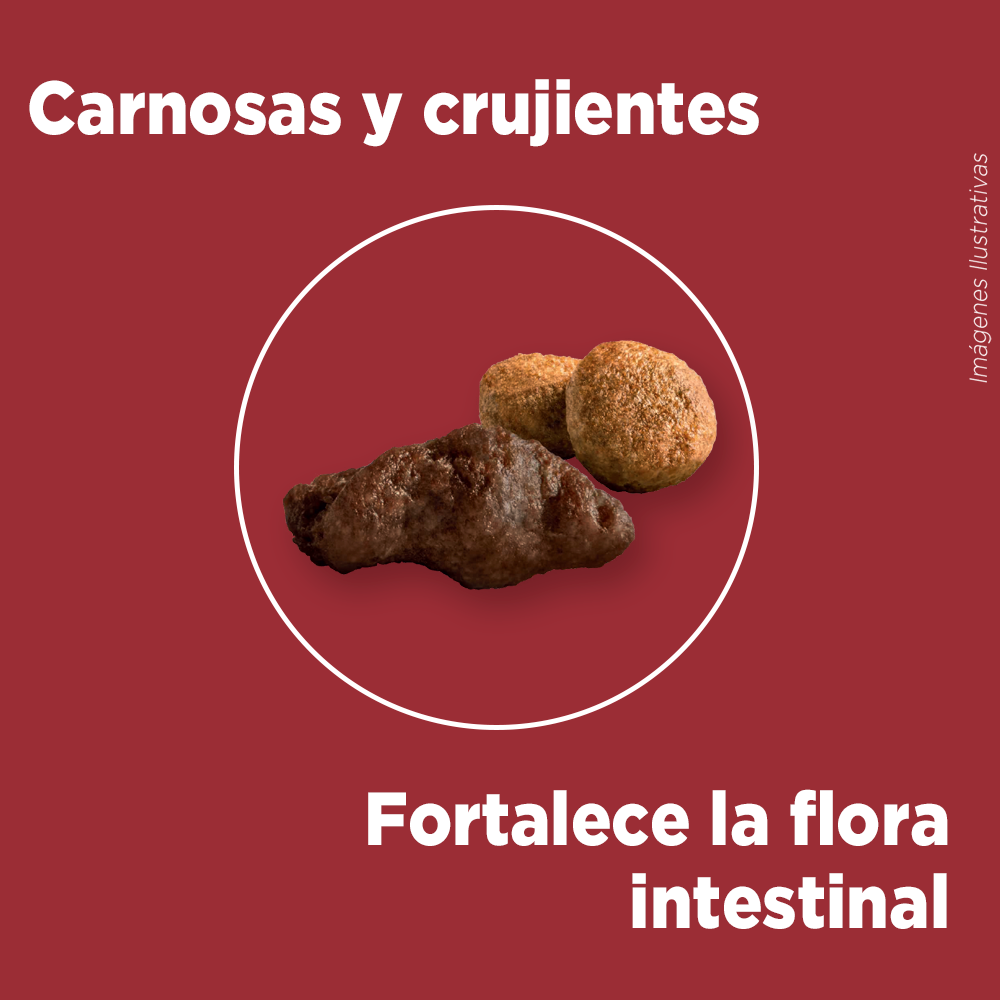 Alimento para perro Purina One Adultos medianos y grandes sabor carne de 6 kg