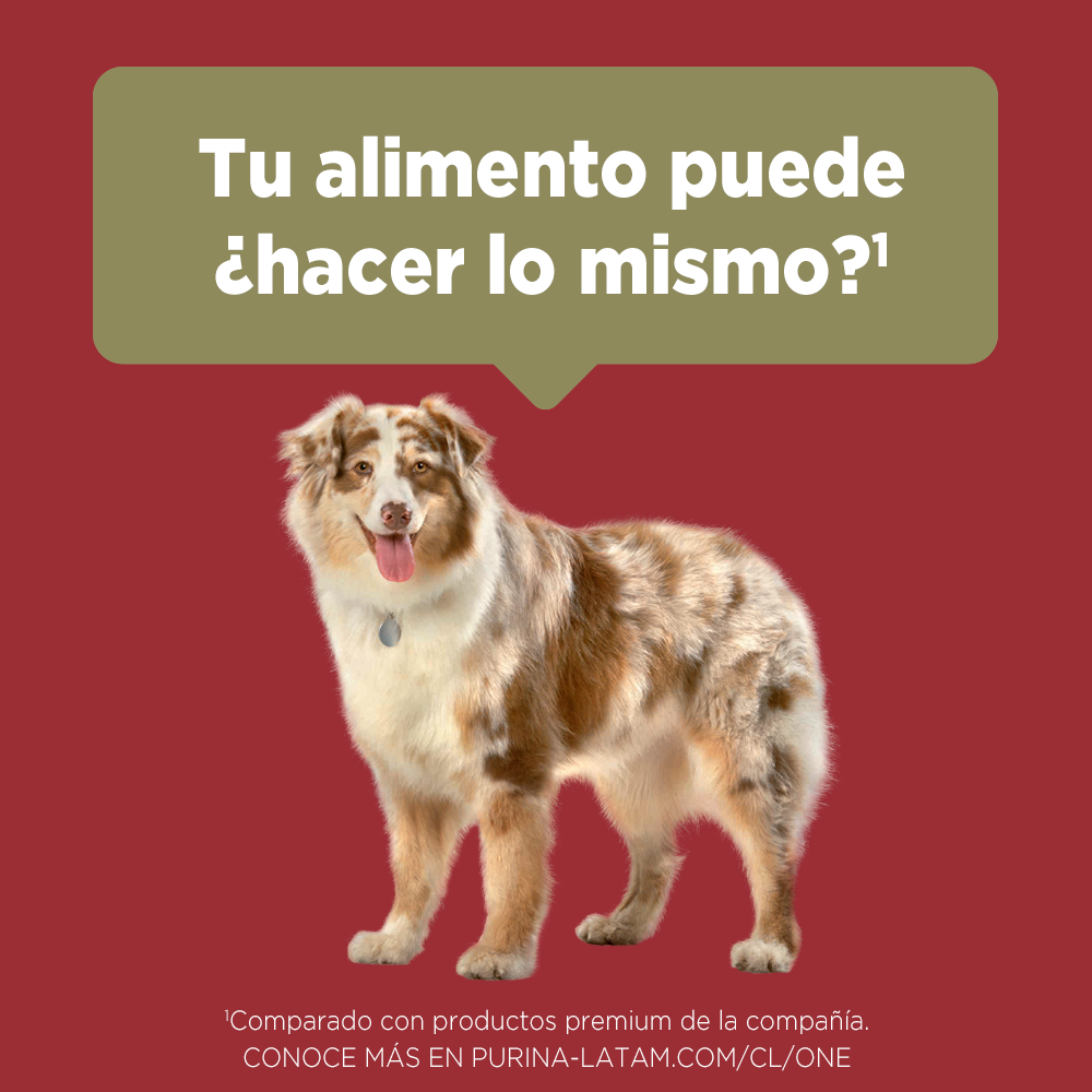 Alimento para perro Purina One Adultos medianos y grandes sabor carne de 6 kg