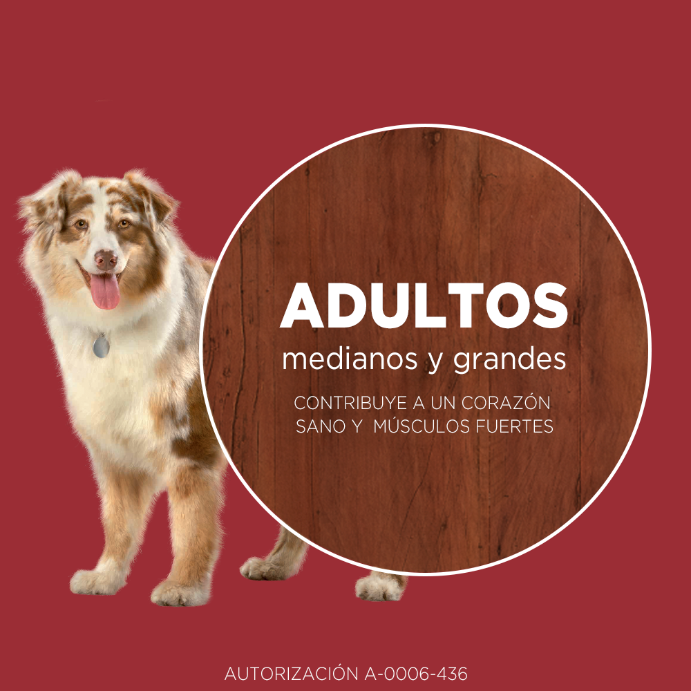 Alimento para perro Purina One Adultos medianos y grandes sabor carne de 6 kg