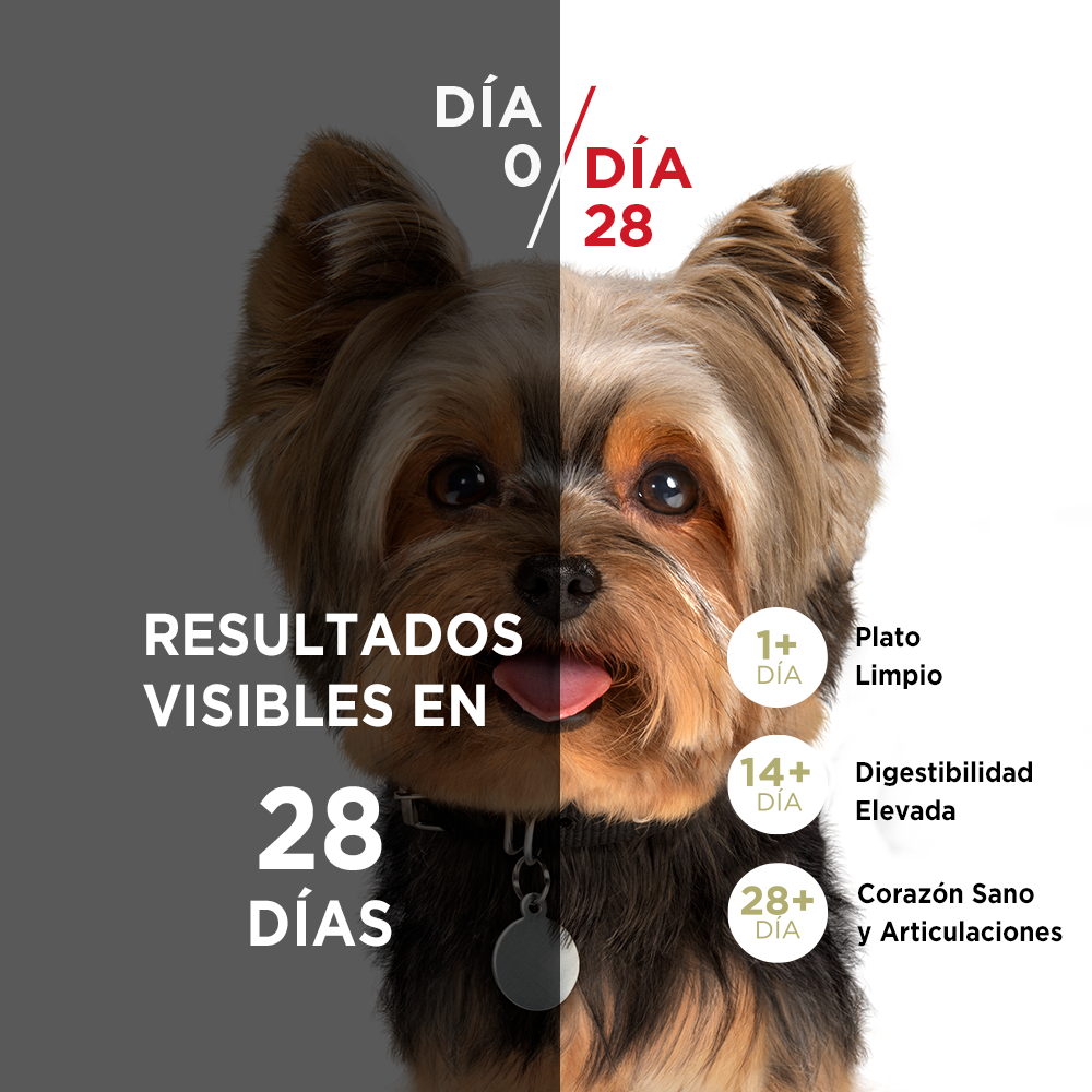 Alimento para perro Purina One Cachorros sabor pollo y carne en bolsa de 6kg