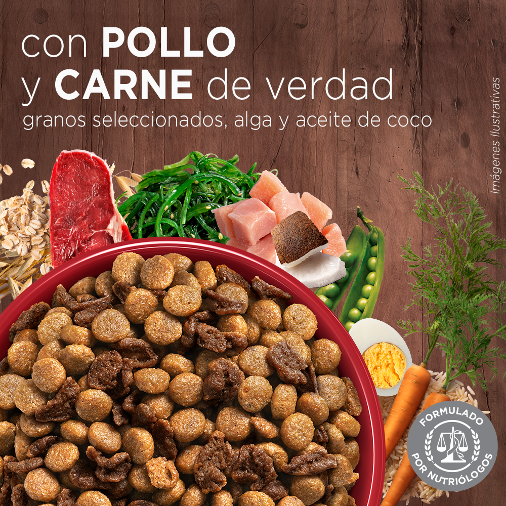 Alimento para perro Purina One Cachorros sabor pollo y carne en bolsa de 6kg