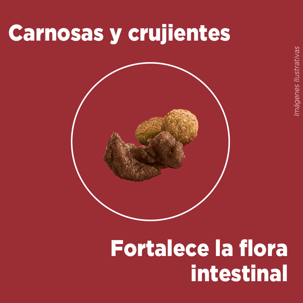 Alimento para perro Purina One Cachorros sabor pollo y carne en bolsa de 6kg
