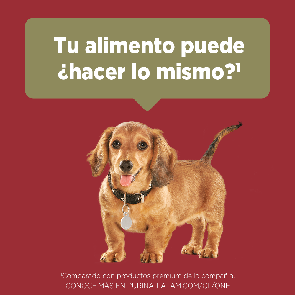 Alimento para perro Purina One Cachorros sabor pollo y carne en bolsa de 6kg