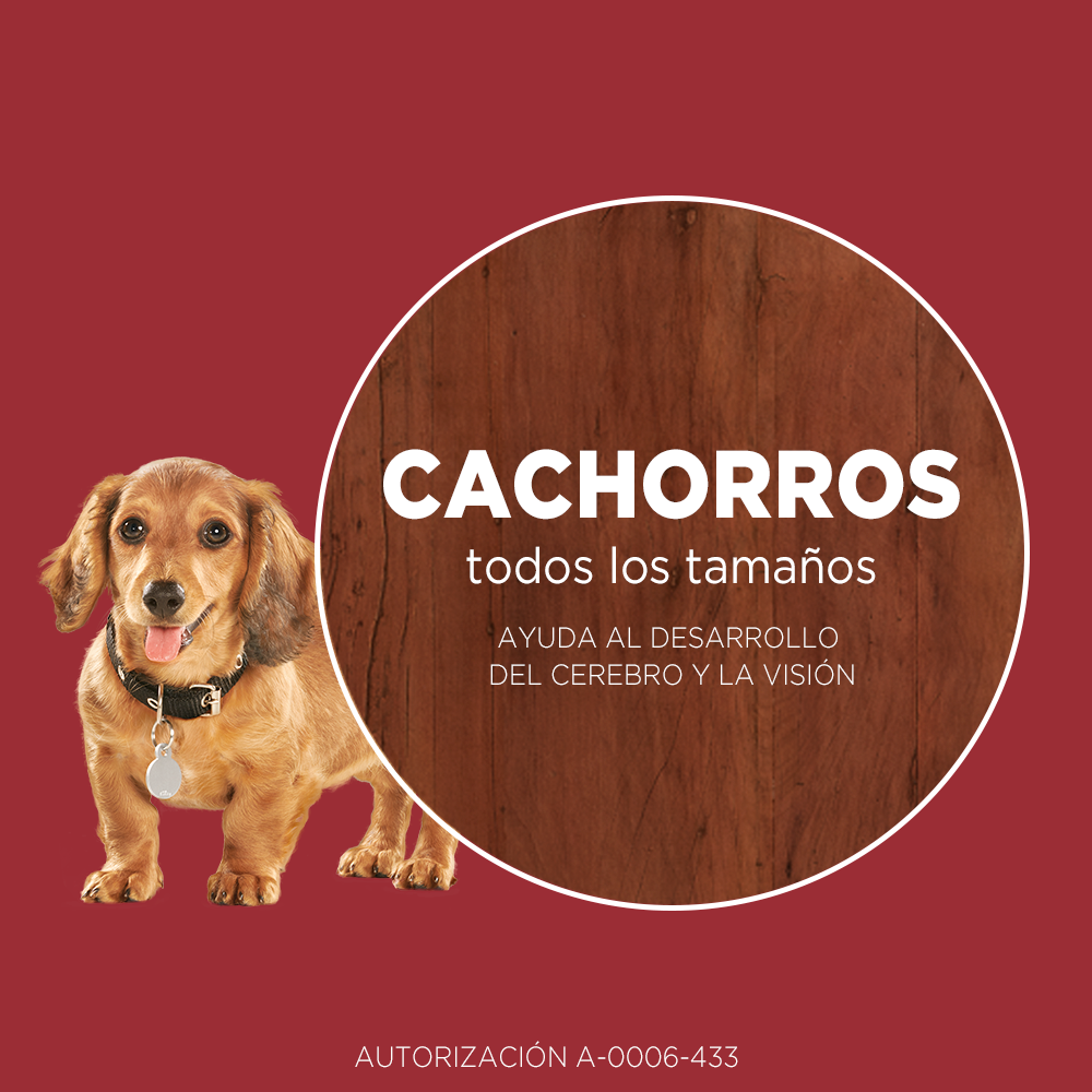 Alimento para perro Purina One Cachorros sabor pollo y carne en bolsa de 6kg