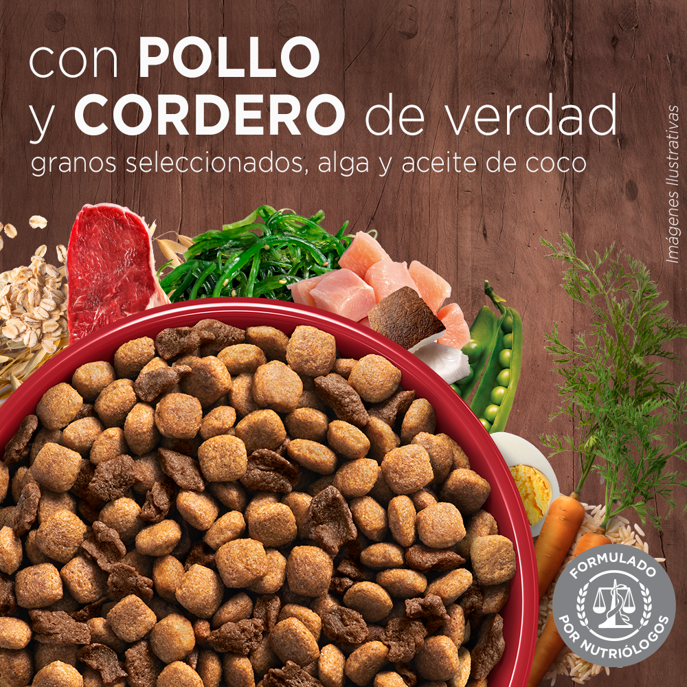 Alimento para perro Purina One Adultos Minis y pequeños sabor pollo y cordero en bolsa de 2kg