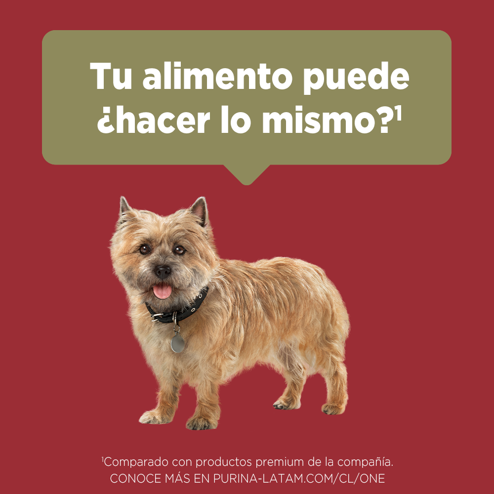 Alimento para perro Purina One Adultos Minis y pequeños sabor pollo y cordero en bolsa de 2kg