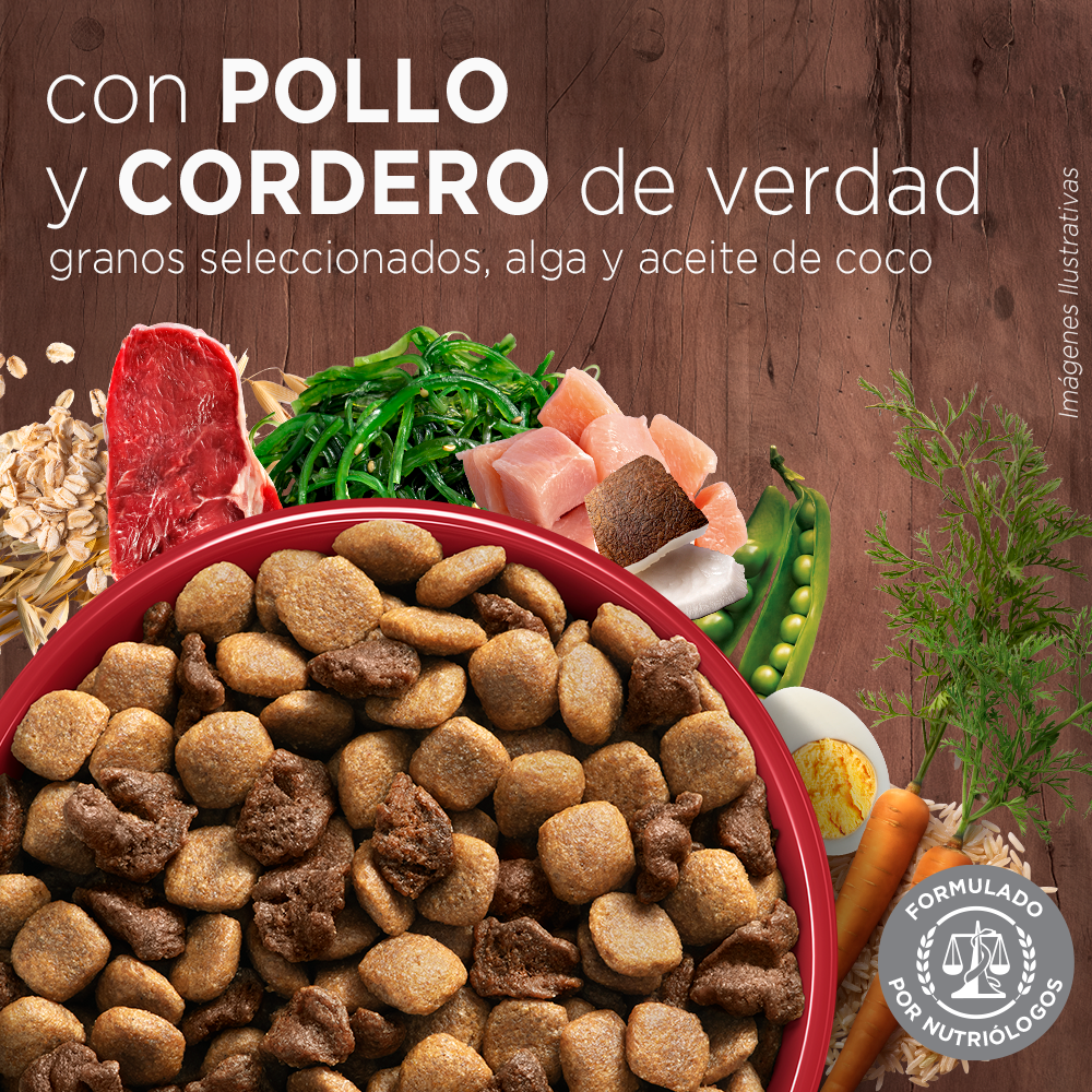 Alimento para perro Purina One Adultos medianos y grandes sabor cordero de 6 kg