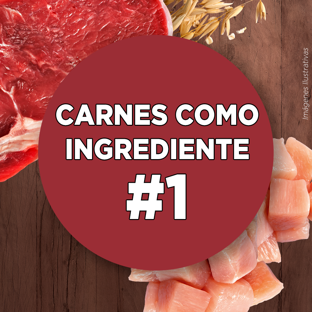 Alimento para perro Purina One Adultos medianos y grandes sabor cordero de 6 kg