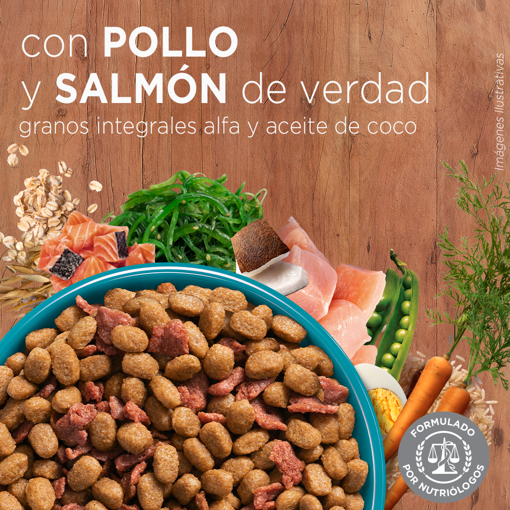 Alimento para Gato Purina One Adultos sabor pollo y salmon  en bolsa de 2kg