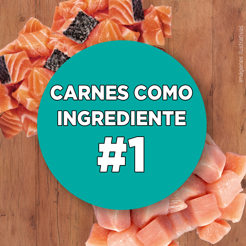 Alimento para Gato Purina One Adultos sabor pollo y salmon  en bolsa de 2kg