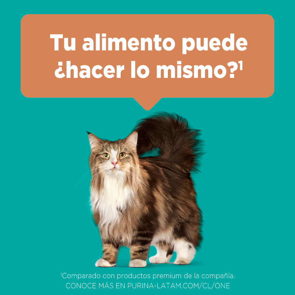 Alimento para Gato Purina One Adultos sabor pollo y salmon  en bolsa de 2kg