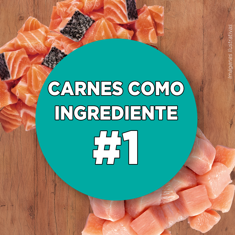 Alimento para gato Purina One Esterilizado sabor Salmón en bolsa de 2 kg