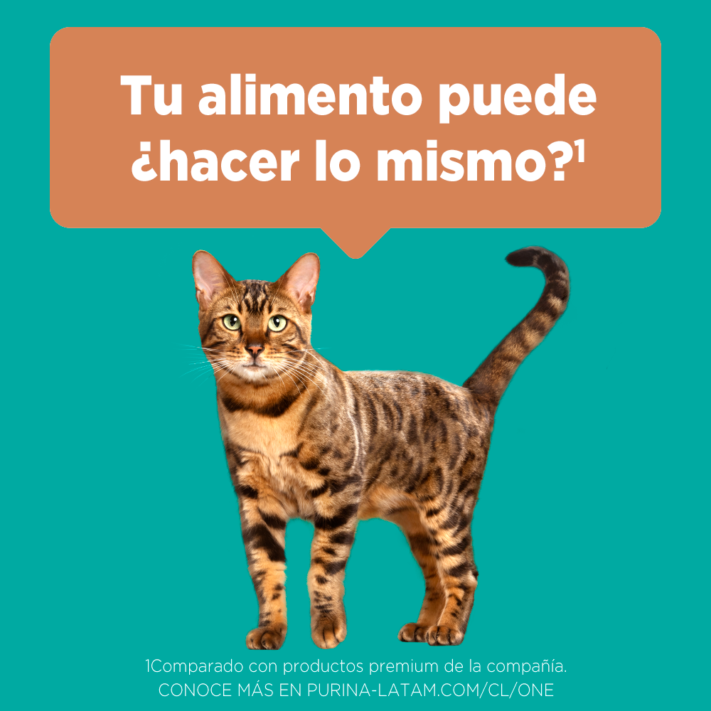 Alimento para gato Purina One Esterilizado sabor Salmón en bolsa de 2 kg