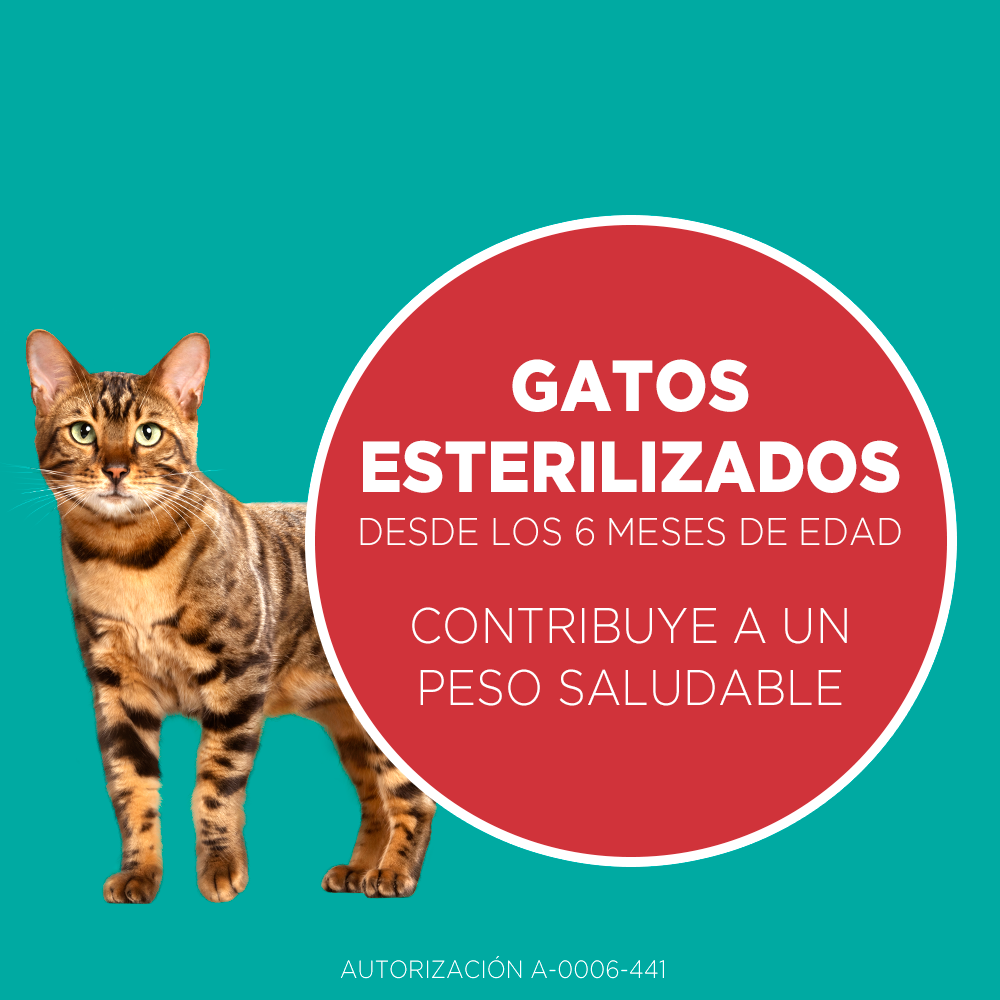 Alimento para gato Purina One Esterilizado sabor Salmón en bolsa de 2 kg