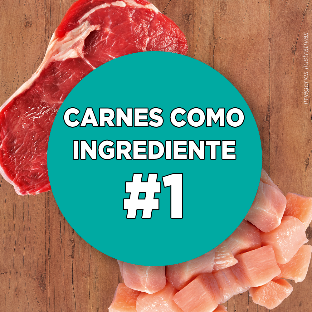 Alimento para gato Purina One Gatito de 2 kg