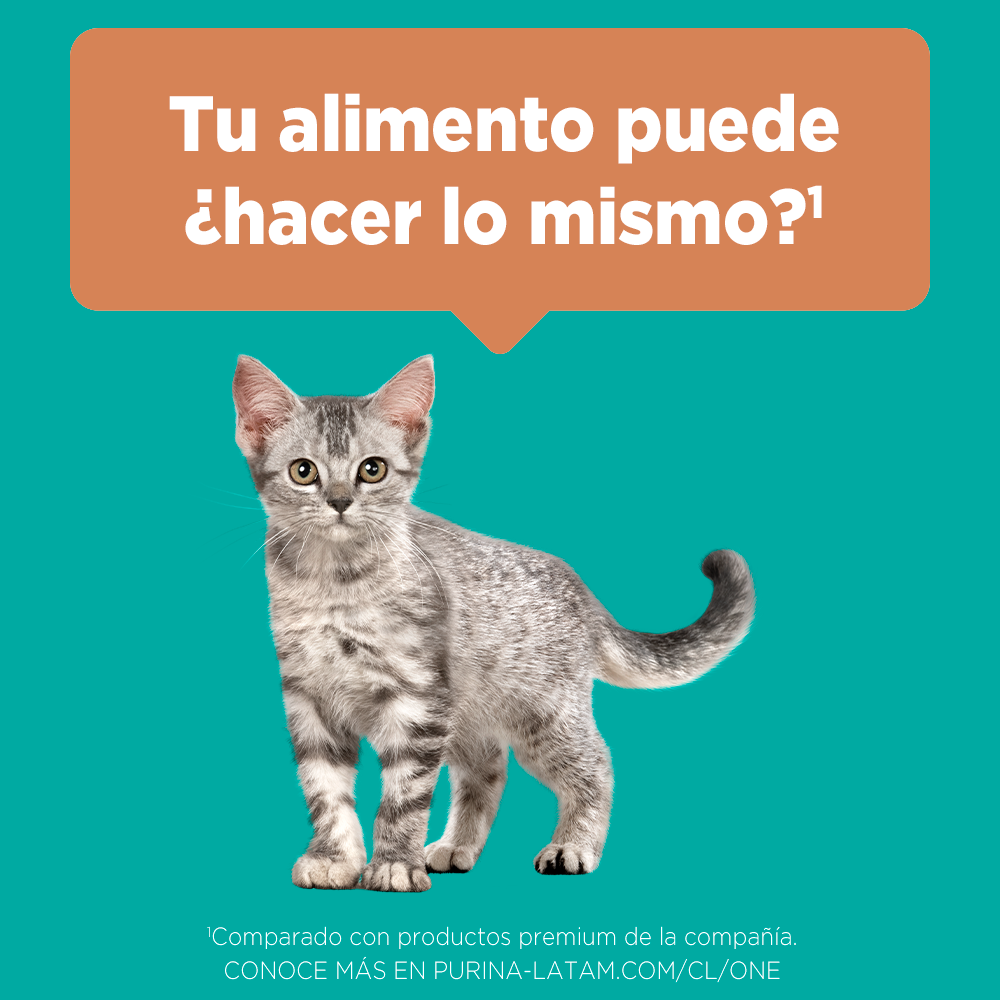 Alimento para gato Purina One Gatito de 2 kg