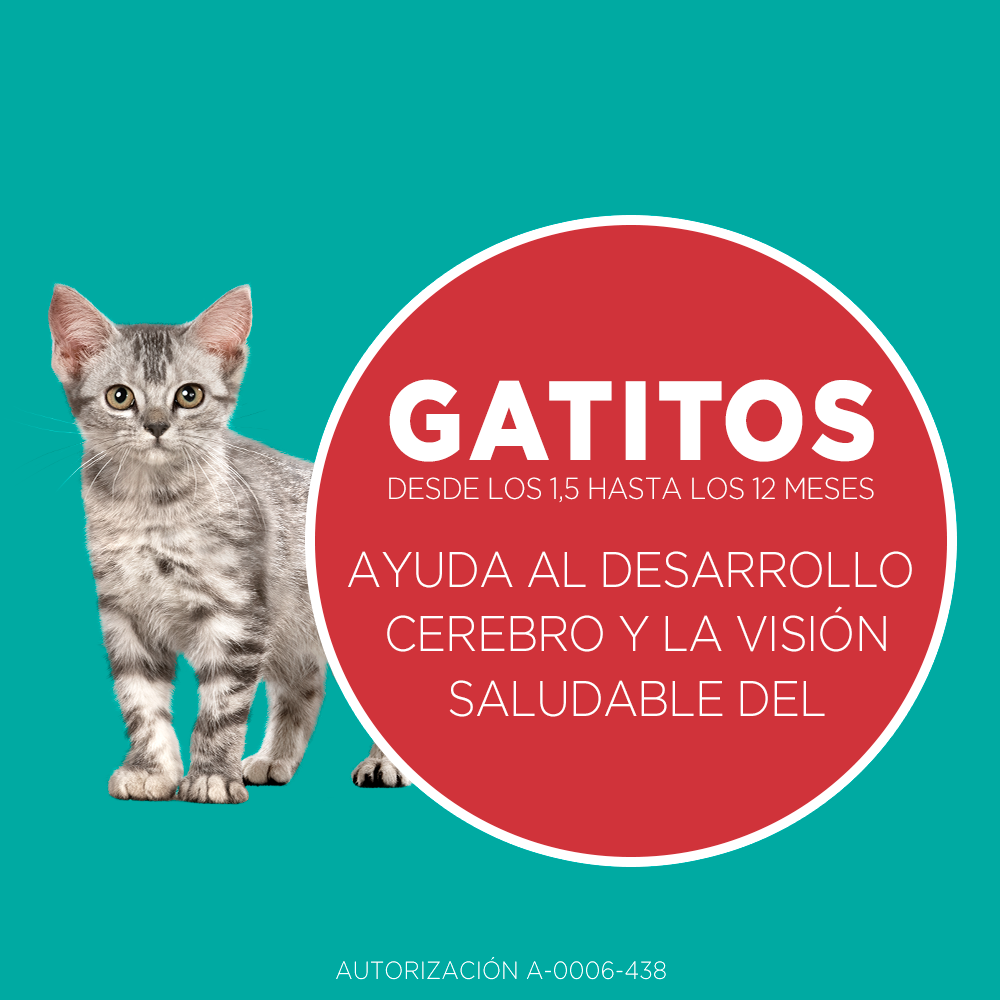 Alimento para gato Purina One Gatito de 2 kg