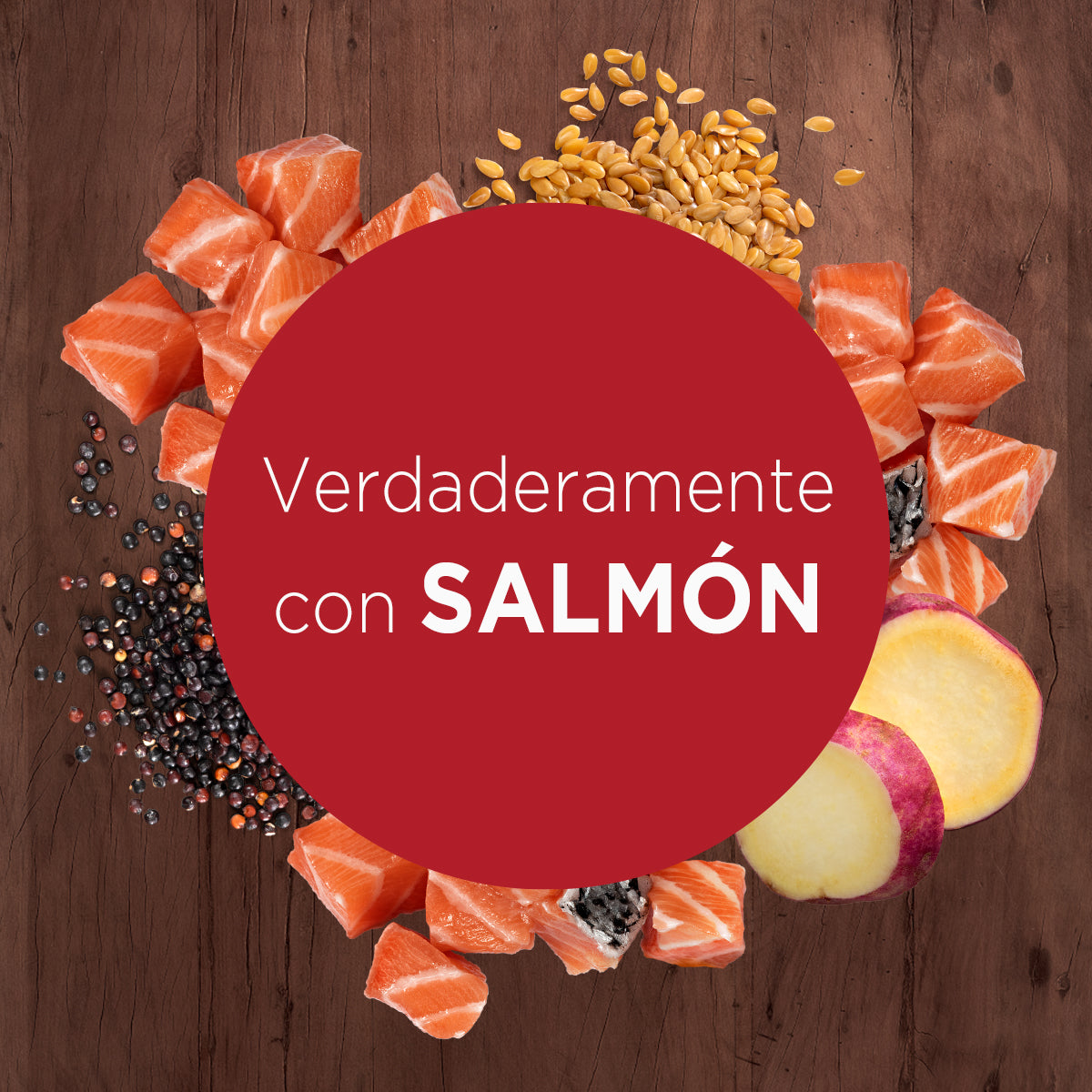 Alimento húmedo para perros Purina One Adulto y Cachorro sabor salmón de 85gr