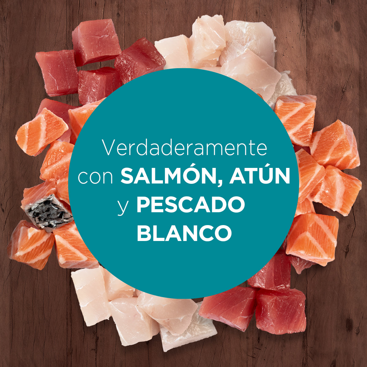 Alimento húmedo para gatos Purina One Adultos y Gatitos multiproteína de 85gr