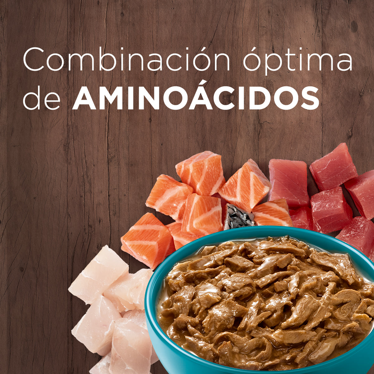 Alimento húmedo para gatos Purina One Adultos y Gatitos multiproteína de 85gr