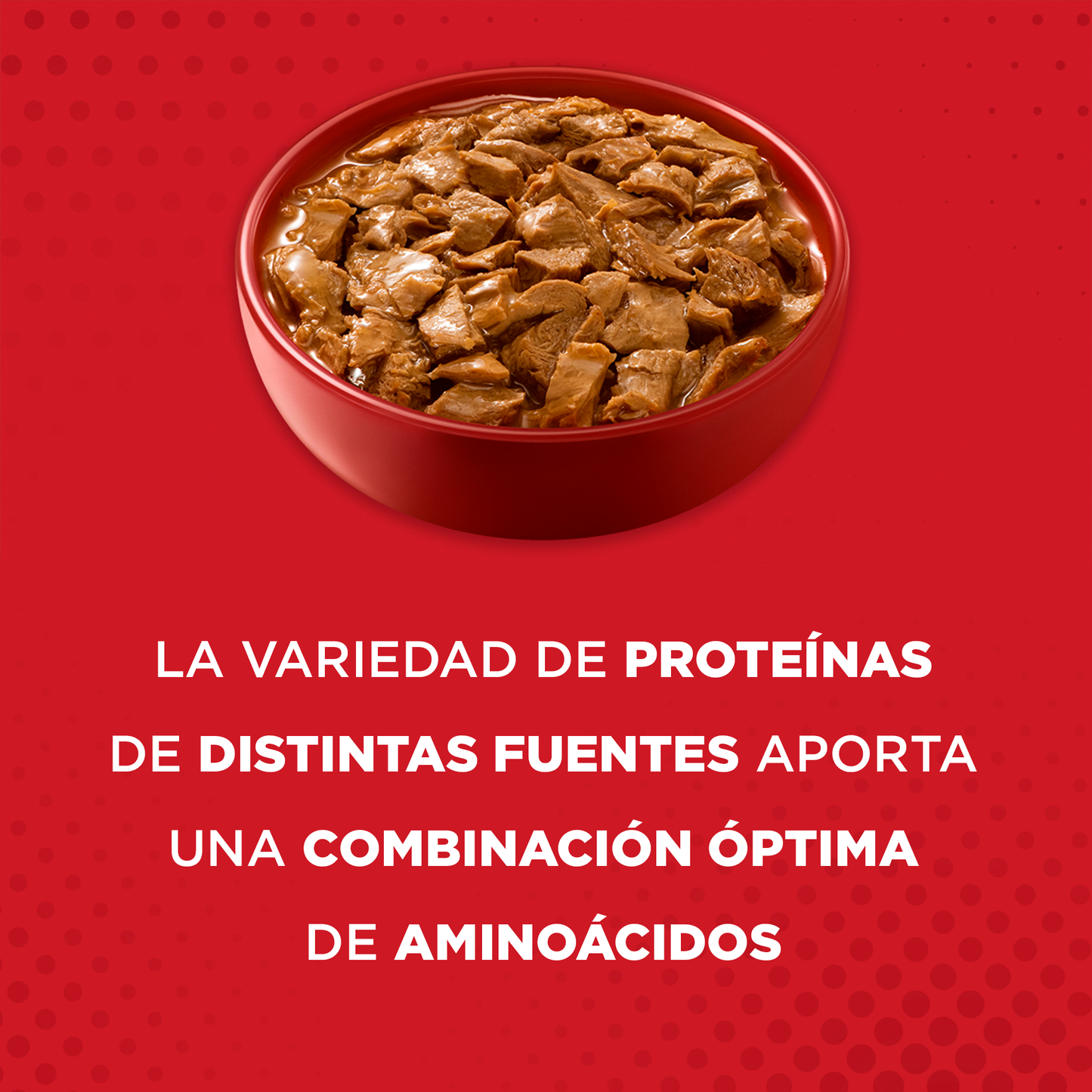 Alimento húmedo para perros Purina One Adulto y Cachorro sabor carne, pollo y cordero de 85gr