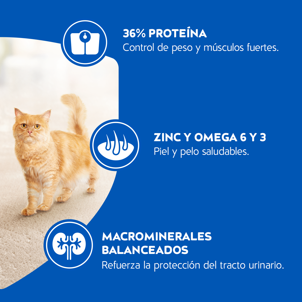 Alimento para Gatos Cat Chow Adulto Esterilizados en bolsa de 8kg