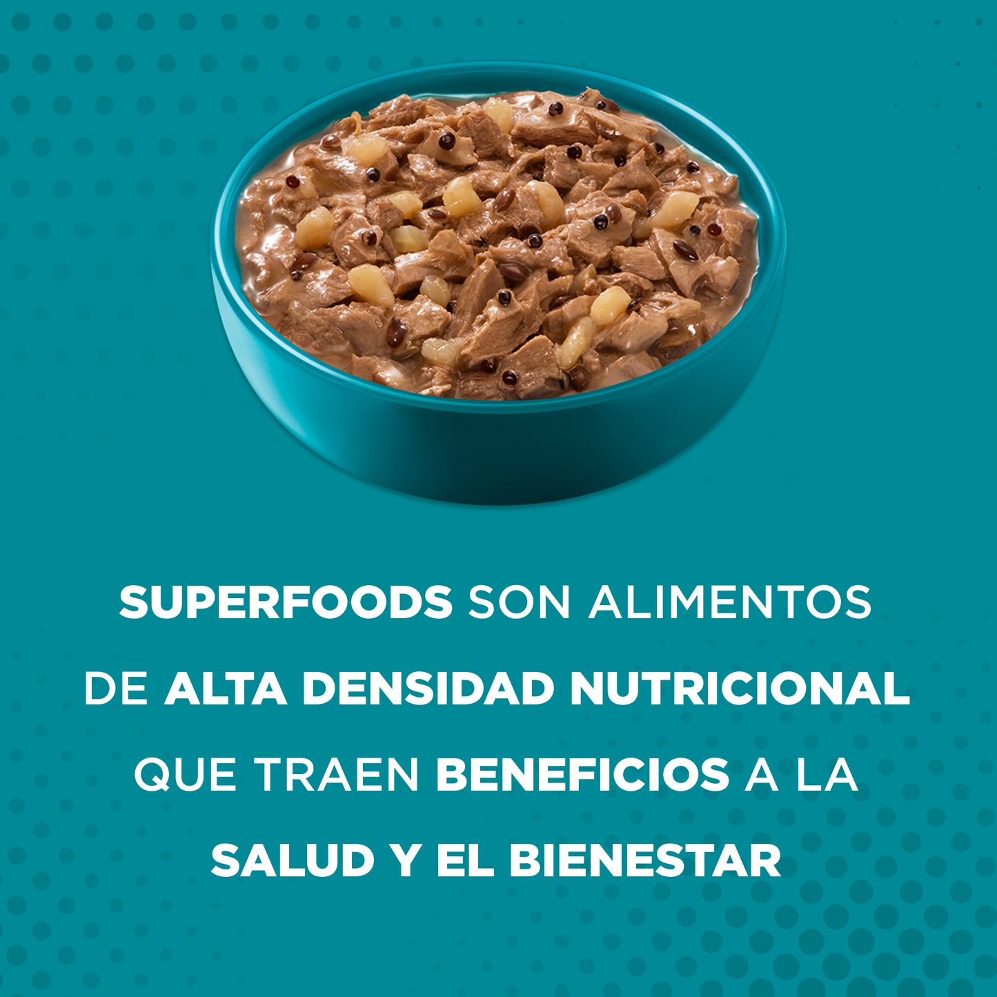 Alimento húmedo para gatos Purina One Adulto y  Esterilizado sabor salmón de 85gr