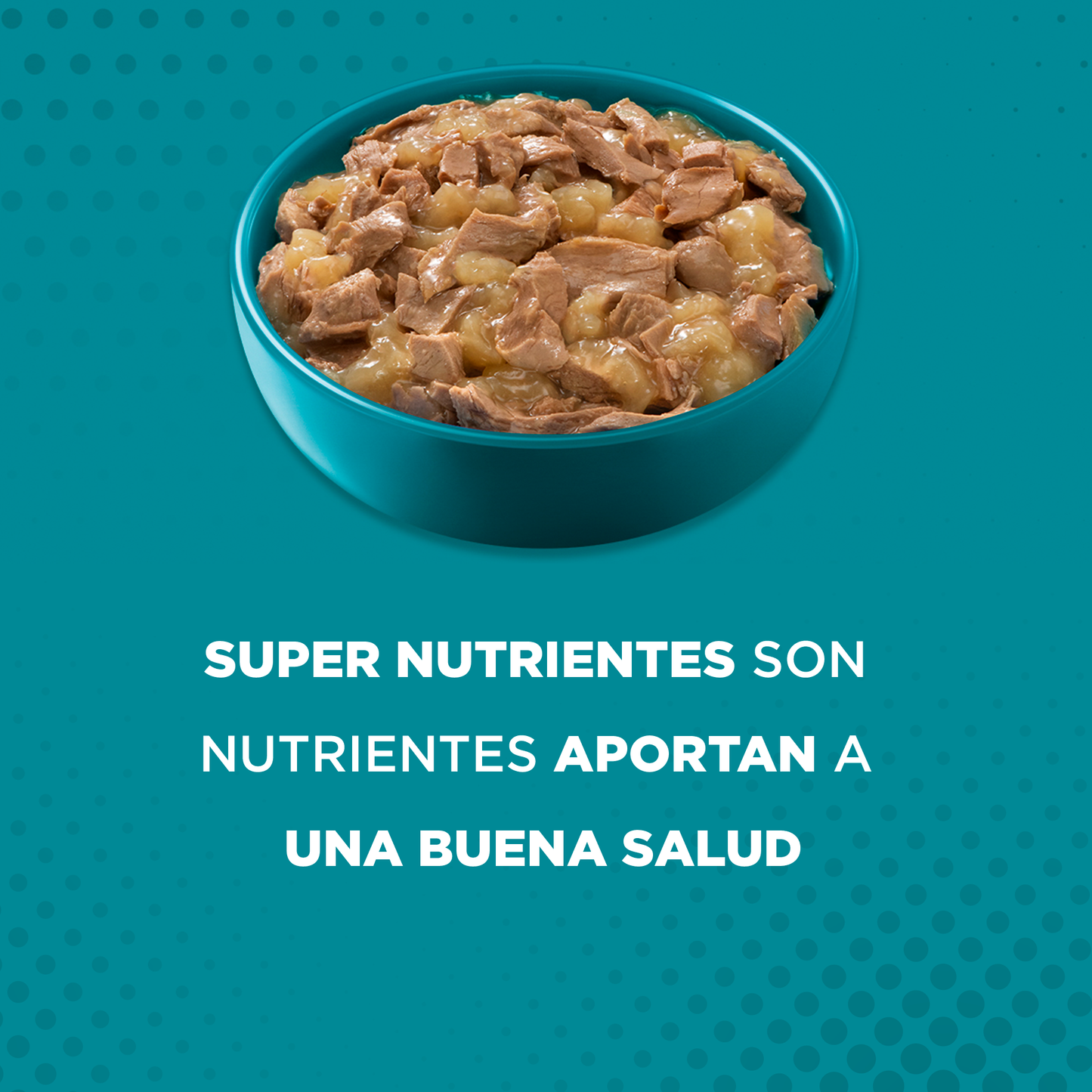 Alimento húmedo para gatos Purina One Adulto y esterilizado supernutrientes de 85gr
