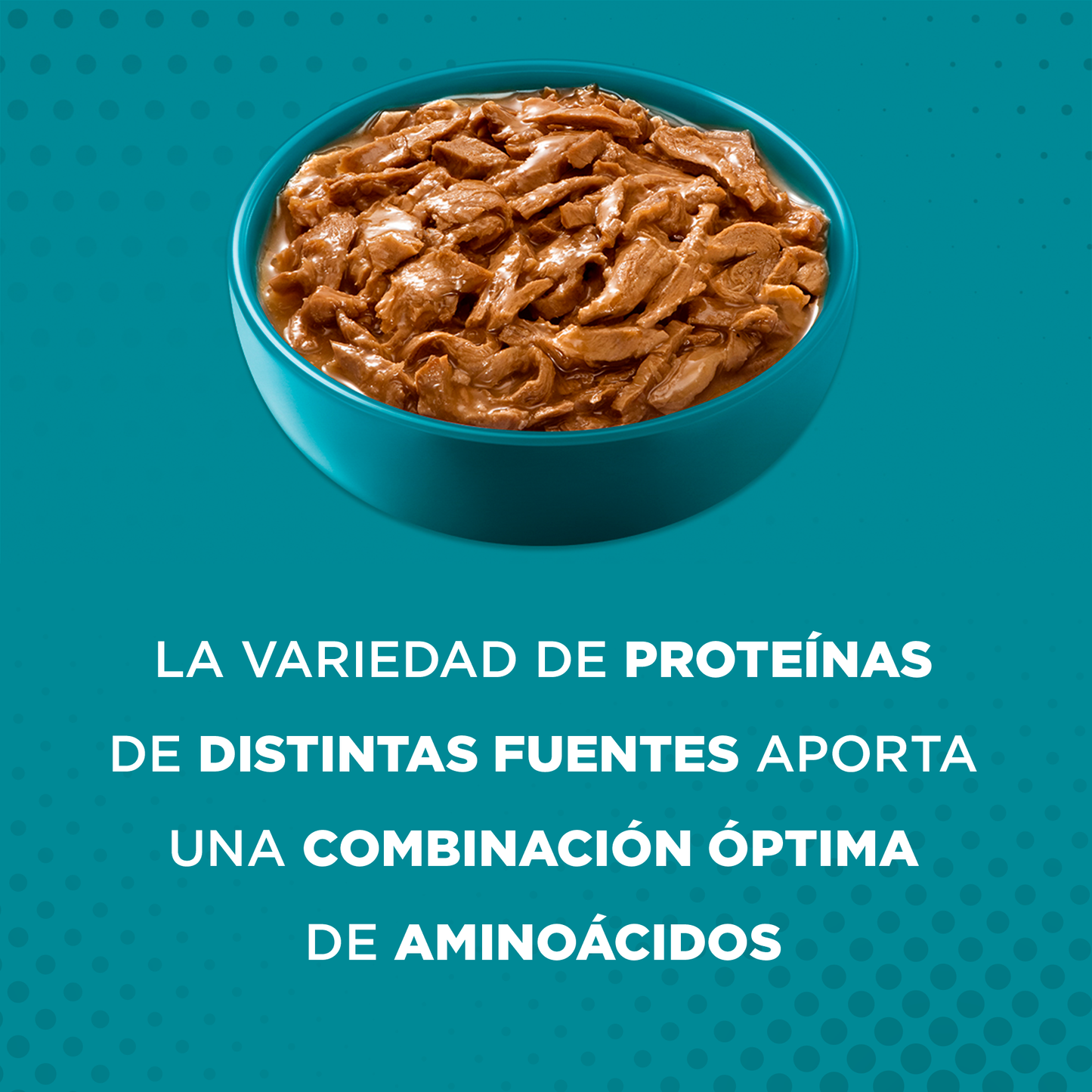 Alimento húmedo para gatos Purina One Adultos y Gatitos multiproteína de 85gr