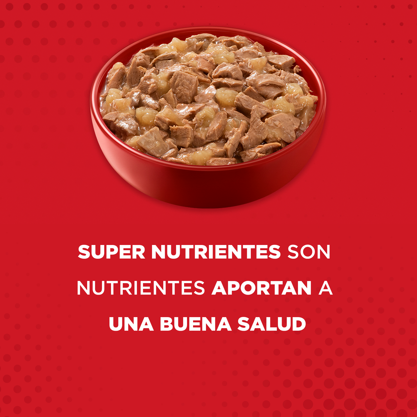 Alimento húmedo para perros Purina One Adulto y Cachorro sabor pollo de 85gr