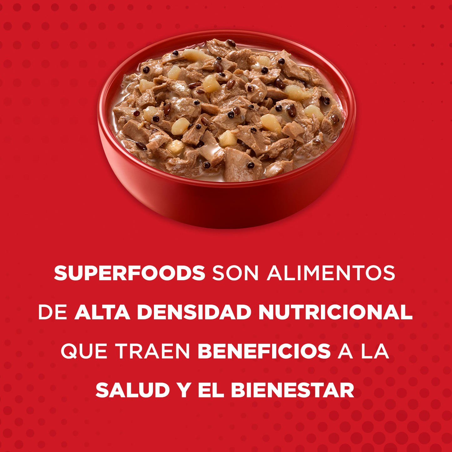 Alimento húmedo para perros Purina One Adulto y Cachorro sabor salmón de 85gr