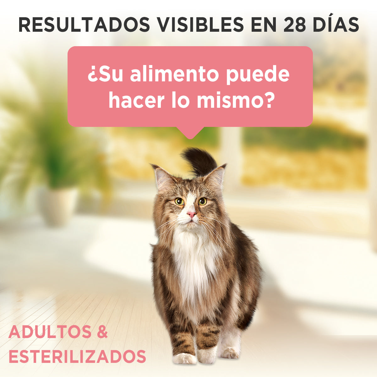 Alimento húmedo para gatos Purina One Adulto y  Esterilizado sabor salmón de 85gr