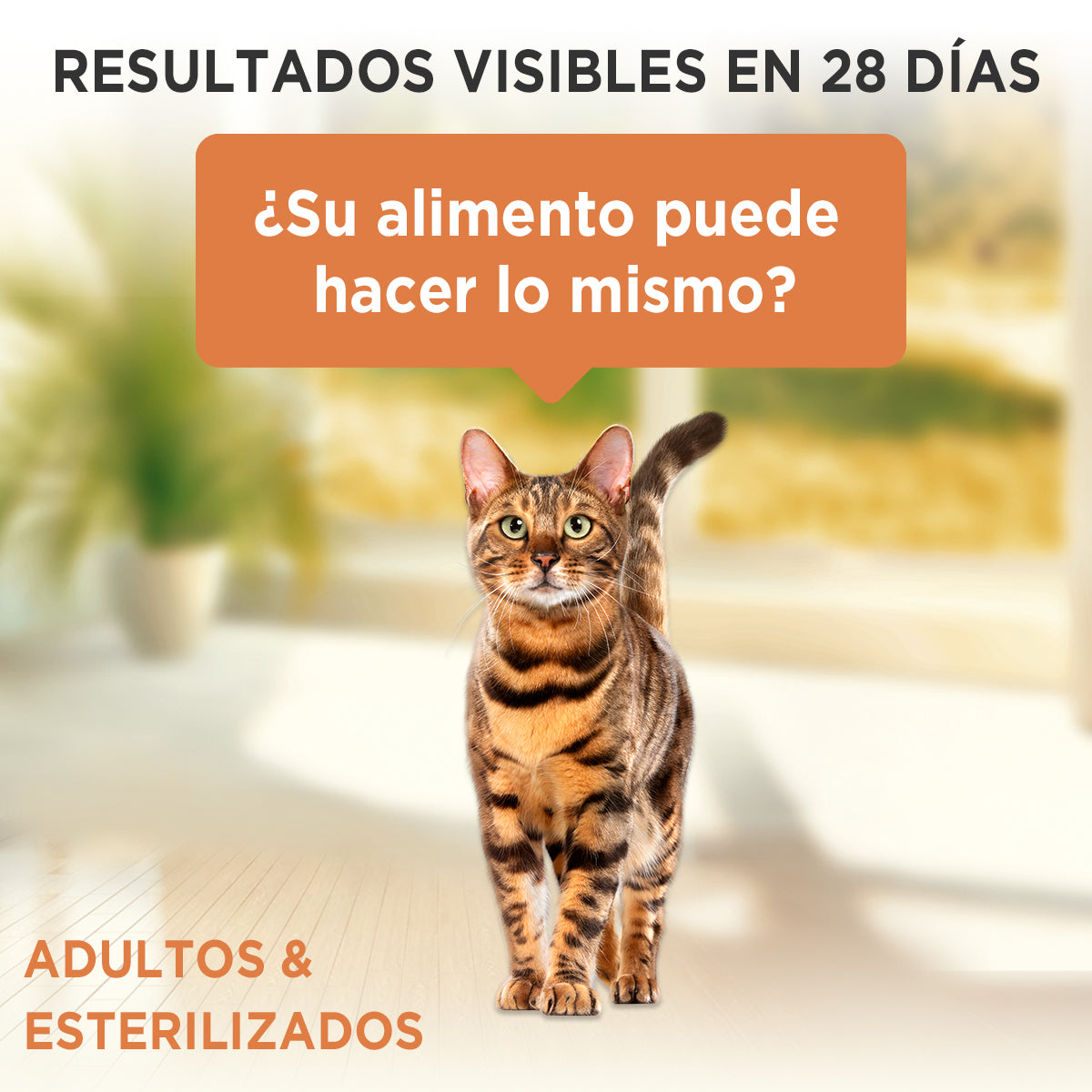 Alimento húmedo para gatos Purina One Adulto y esterilizado supernutrientes de 85gr