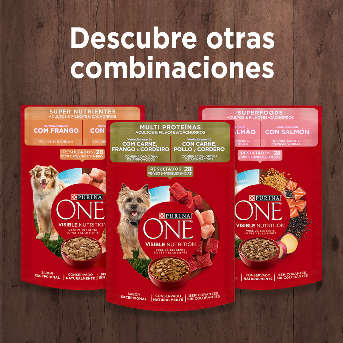 Alimento húmedo para perros Purina One Adulto y Cachorro sabor salmón de 85gr
