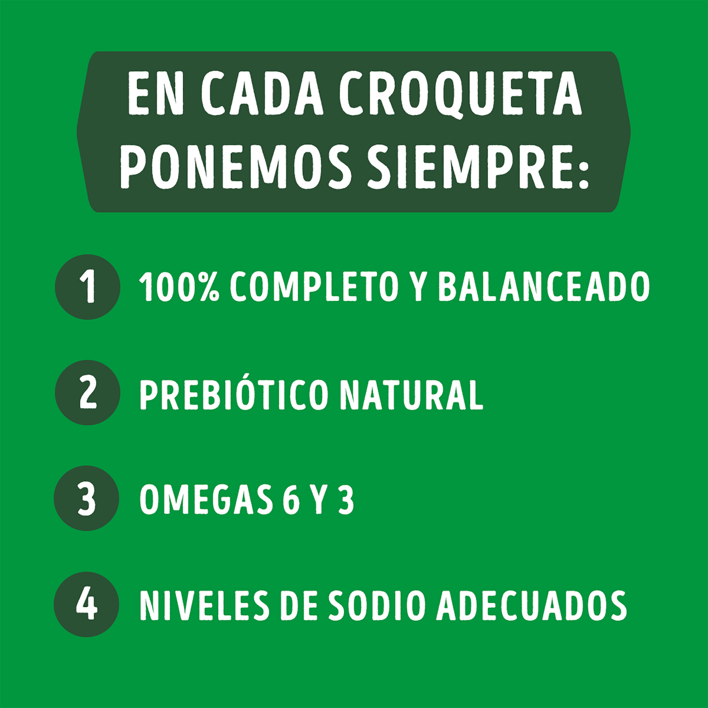 Alimento para perro Dog Chow Adulto Mediano y Grande 15 kg
